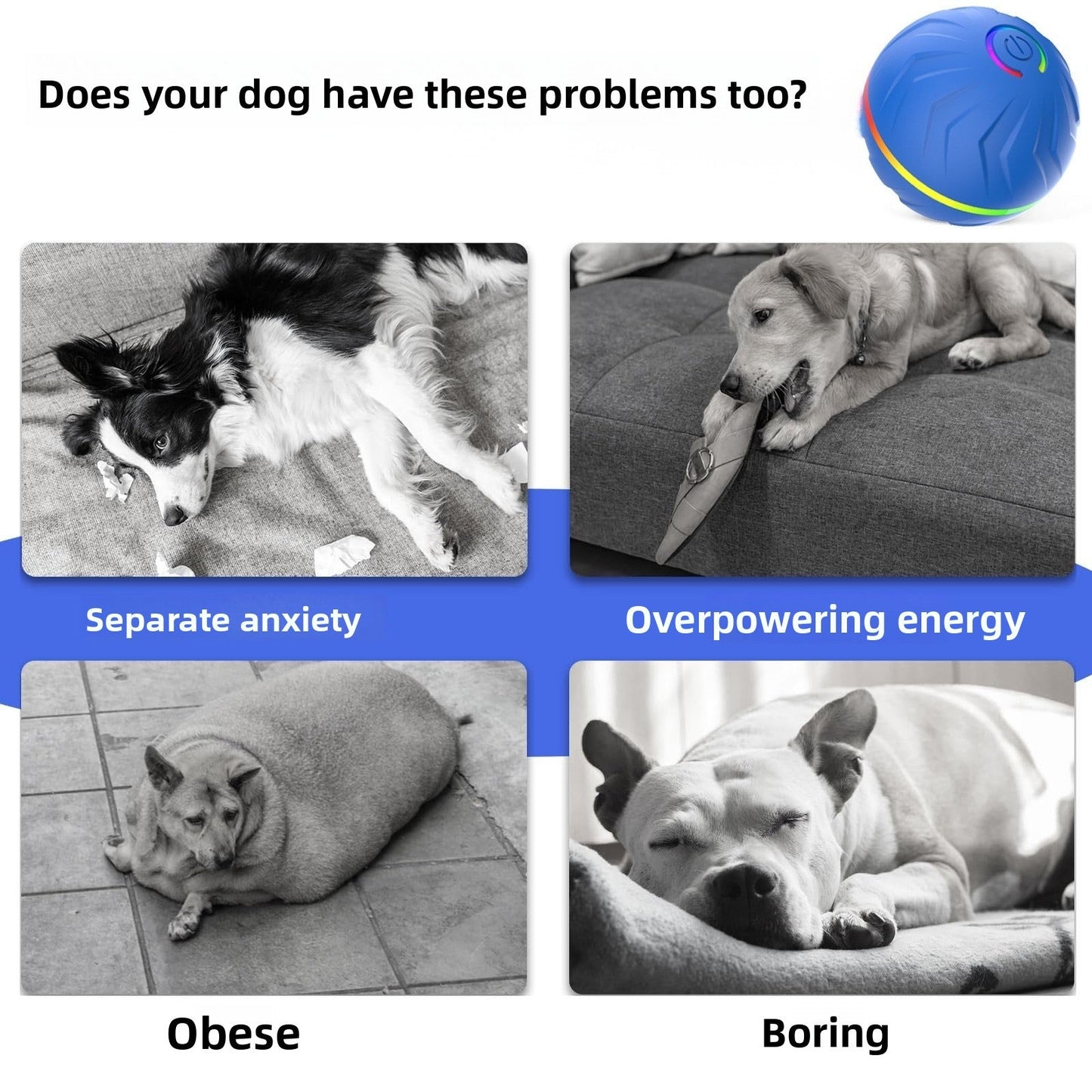 Jumping ball dog toy ball